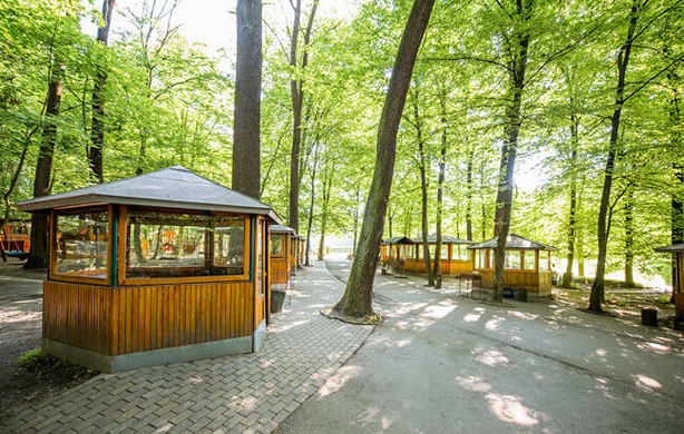 GDZIE NAJLEPIEJ ZROBIĆ GRILLA NA ŚWIEŻYM POWIETRZU NIEDALEKO LWOWA?